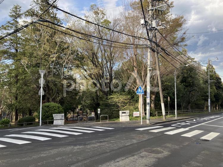 横浜市青葉区藤が丘二丁目の藤が丘公園 藤が丘公園,藤が丘二丁目,藤が丘駅の写真素材