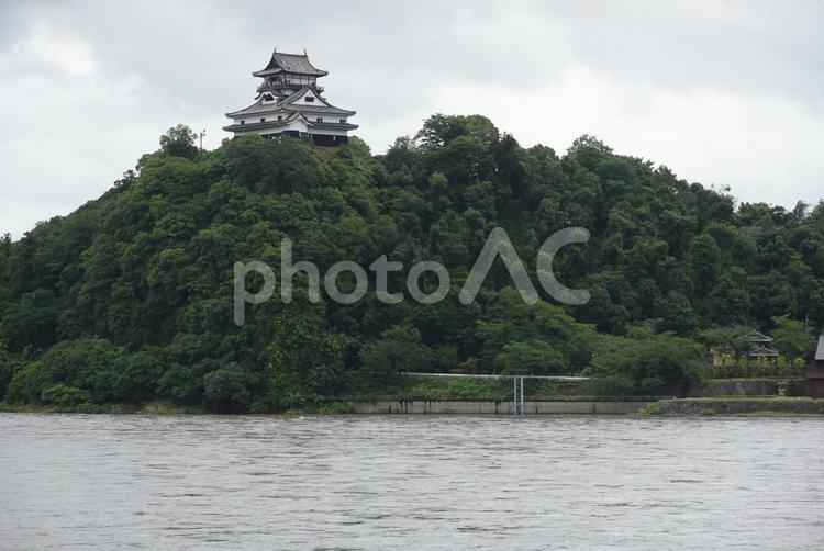 国宝犬山城 犬山城,城,国宝の写真素材