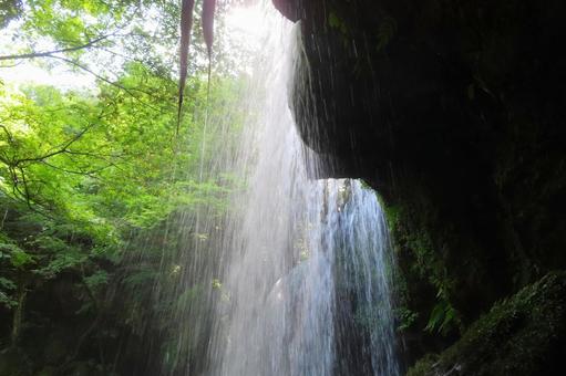 【熊本県】鍋ヶ滝 【熊本県】鍋ヶ滝 鍋ヶ滝,滝,川の写真素材