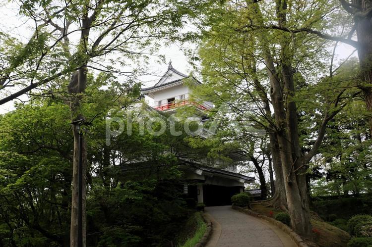 日本百名城、久保田城・御隅櫓を訪ねる 久保田城,御隅櫓,千秋公園の写真素材