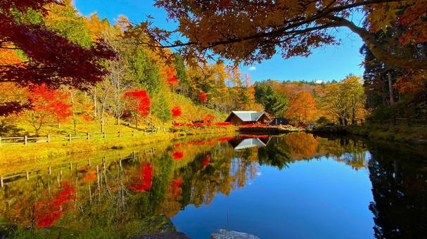 紅葉のせせらぎ街道 西ウレ峠:5 紅葉のせせらぎ街道 西ウレ峠:5の写真