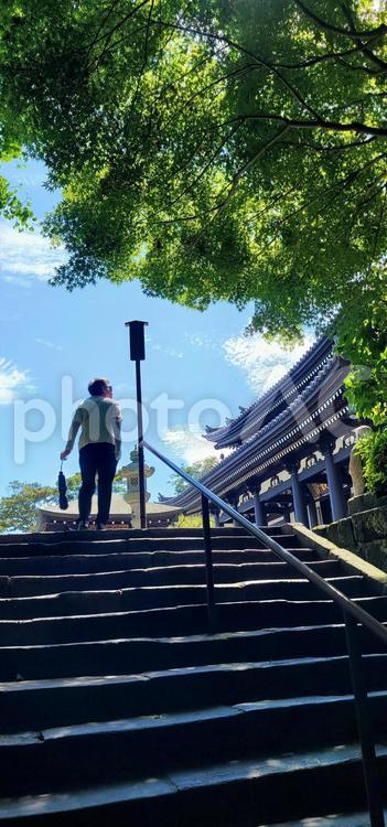 風景　鎌倉　夏 風景,神奈川県,鎌倉市の写真素材