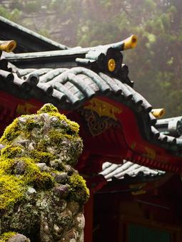 霧に包まれた神社の屋根 霧に包まれた神社の屋根の写真