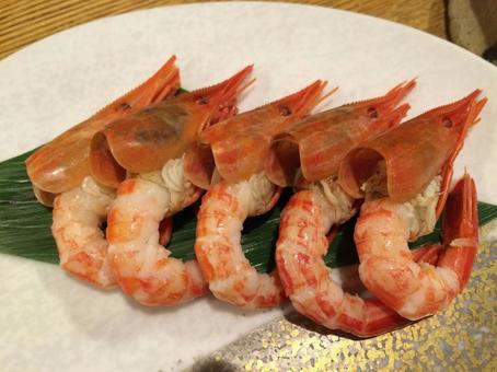 北海シマエビ 北海シマエビの写真