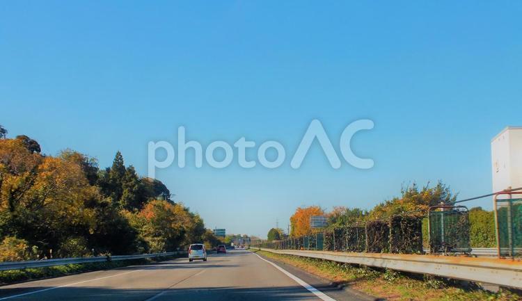 美しい紅葉の季節の東名高速道路 道路,車両,スピードの写真素材