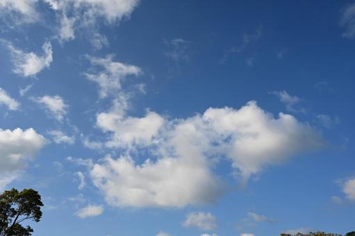空とくも 空とくもの写真