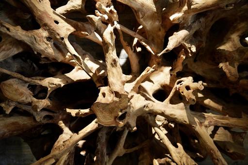 木のオブジェ 木,木製,オブジェの写真素材