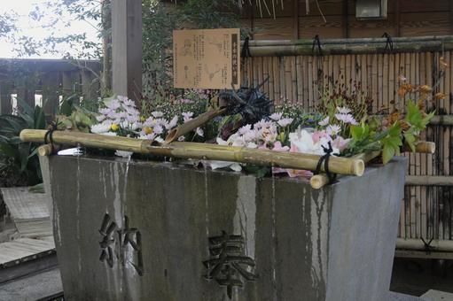 手水舎 花手水,花,手水鉢の写真素材