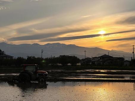 夕暮れの水田 夕暮れの水田 夕暮れ,水田,たそがれの写真素材