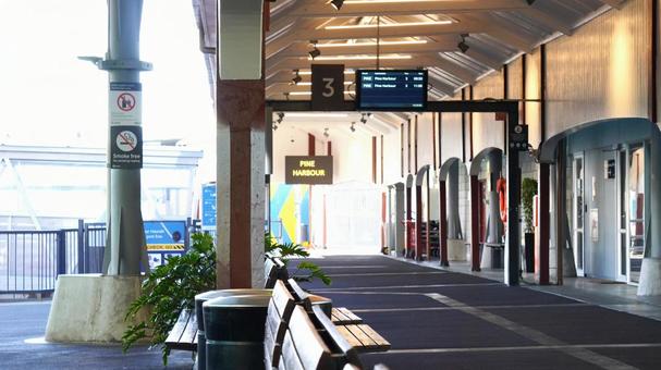 NZ_AUCKLAND NZ_AUCKLANDの写真
