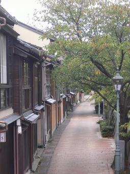 金沢 金沢,石川,ひがし茶屋の写真素材