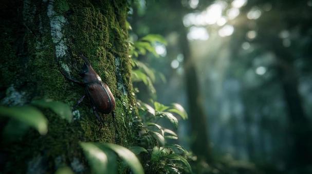 カブトムシの止まる木の写真