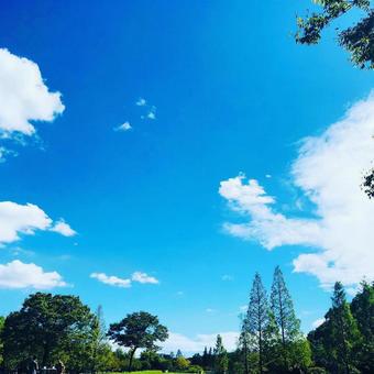 青空 青空の写真