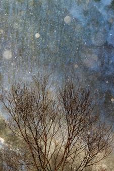 ダイヤモンドダストと冬木_縦 ダイヤモンドダスト,冬,雪の写真素材
