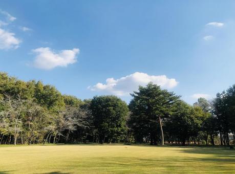 芝生の広場 芝生の広場の写真