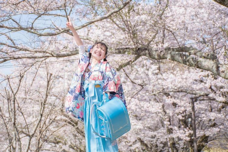 小学校卒業の子供 卒業,桜,袴の写真素材