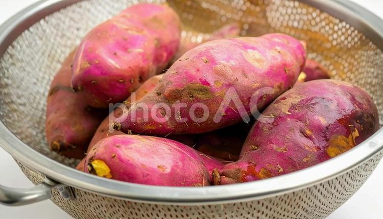 ザルに乗ったさつま芋　泥付き さつまいも,泥付き,とれたての写真素材