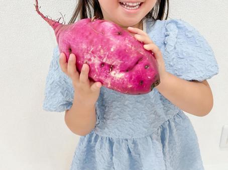 大きなさつま芋を持つ子供 大きなさつま芋を持つ子供 サツマイモ,持つ,子供の写真素材