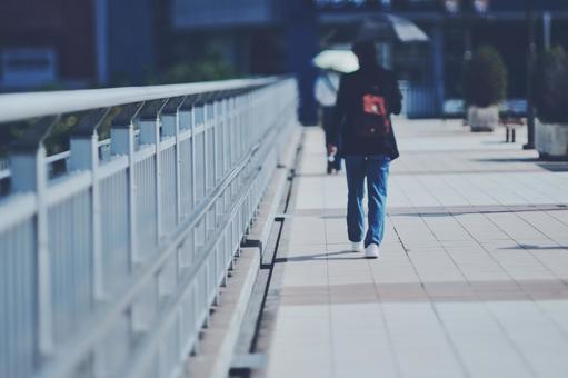 日傘をさす歩行者 日傘をさす歩行者 歩行者,日傘,歩くの写真素材