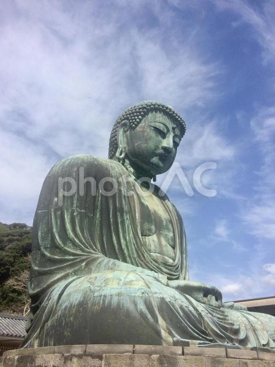 青空に映える鎌倉の大仏 鎌倉,大仏,観光の写真素材