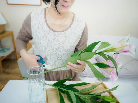36:ゆりの花を生ける女性 36:ゆりの花を生ける女性 花,ゆり,丁寧な暮らしの写真素材