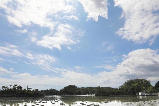 松島を望む1 松島を望む1の写真