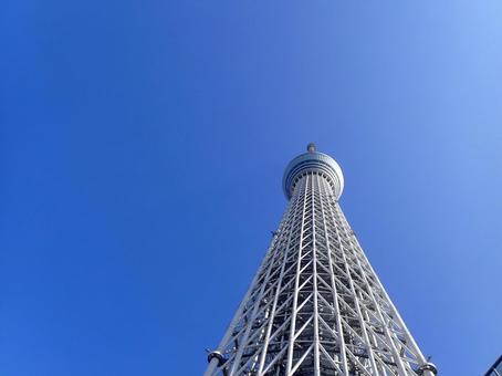 照片, 天空树, 风景, 晴天, 