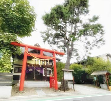 東京都杉並区にある猿田彦神社の鳥居 東京都杉並区にある猿田彦神社の鳥居の写真
