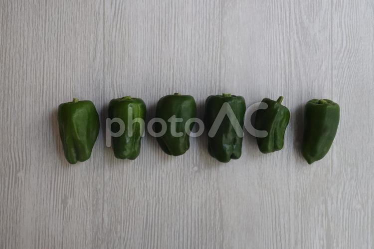 横に並んだピーマン　1 ピーマン,野菜,食べ物の写真素材