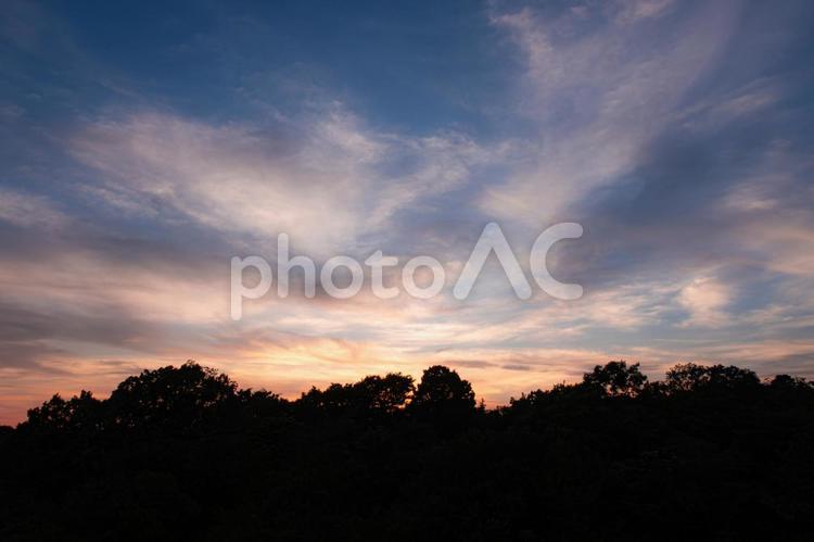 夕暮れの幻想的な空と木々のシルエット 夕暮れ,夕焼け,幻想的の写真素材