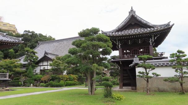 隨念寺 境内の風景 鐘楼門 庫裏 隨念寺 境内の風景 鐘楼門 庫裏 隨念寺,神社仏閣,寺の写真素材