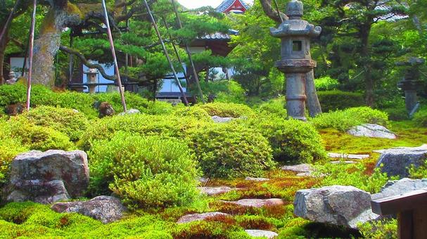 大阪府-金剛寺-本坊-枯山水庭園 大阪府-金剛寺-本坊-枯山水庭園の写真