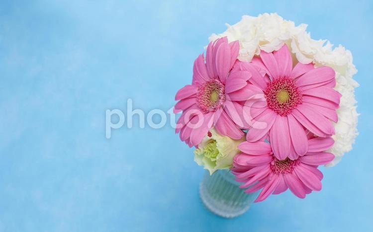 白とピンクの2種花束イメージ素材 花,ピンク,ガーベラの写真素材