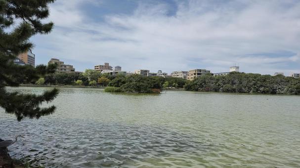 大濠公園 大濠公園の写真