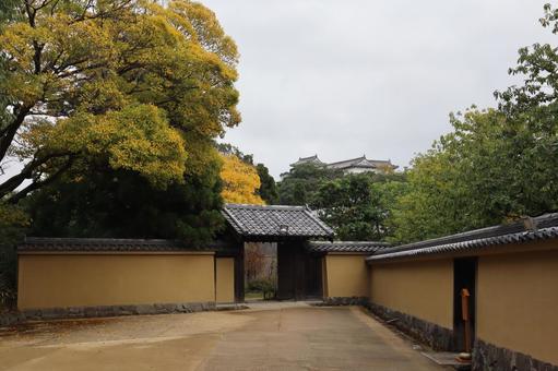 姫路 日本庭園 姫路 日本庭園の写真