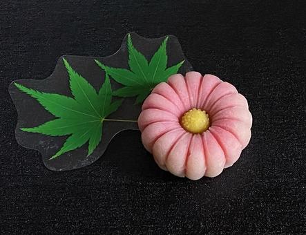 秋の和菓子練り切り 秋の和菓子練り切りの写真