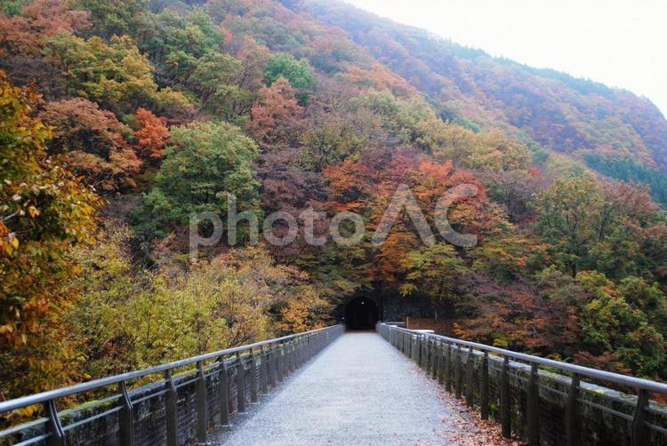 安中市碓氷峠めがね橋の紅葉 安中市,碓氷峠,アプトの道の写真素材