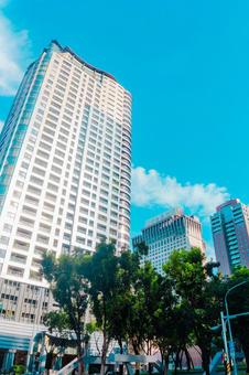 【台湾】台中の夏の風景 2025 【台湾】台中の夏の風景 2025 台中,街並み,風景の写真素材