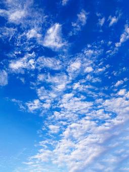 秋空 秋空,秋,オータムの写真素材