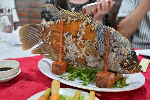 象耳魚(エレファントイアーフィッシュ) 象耳魚(エレファントイアーフィッシュ) 象耳魚,エレファントイアーフィッシュ,エレファントイヤーフィッシュの写真素材