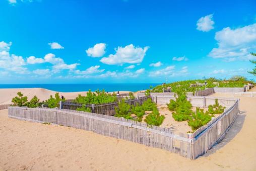 【鳥取】鳥取砂丘と青空 鳥取砂丘,鳥取,砂丘の写真素材