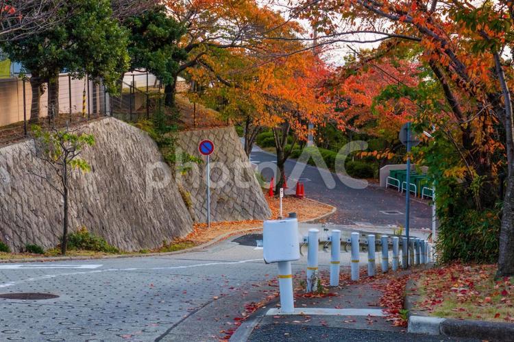 秋を感じる日常 街,都会,都市風景の写真素材