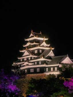 岡山城 岡山城,岡山市,ライトアップの写真素材