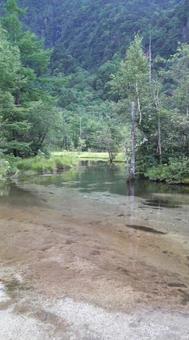 上高地 上高地 上高地,長野,木の写真素材