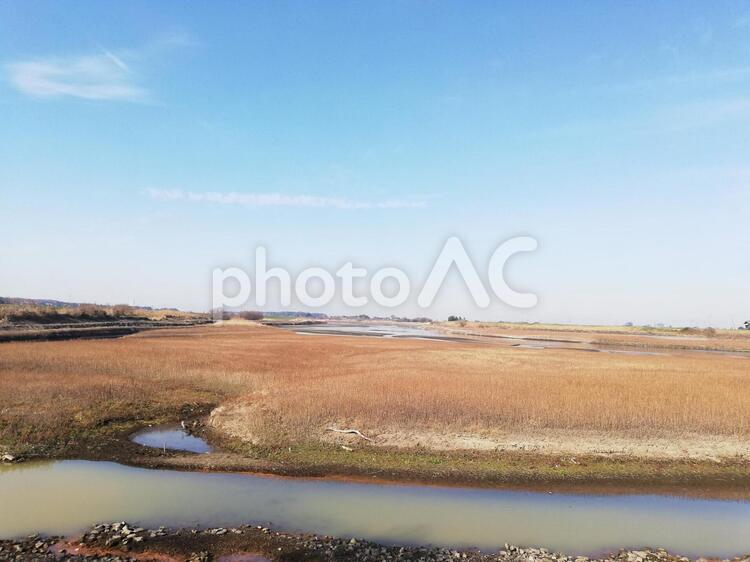 取手市の風景(小貝川) 水域,自然,風景の写真素材