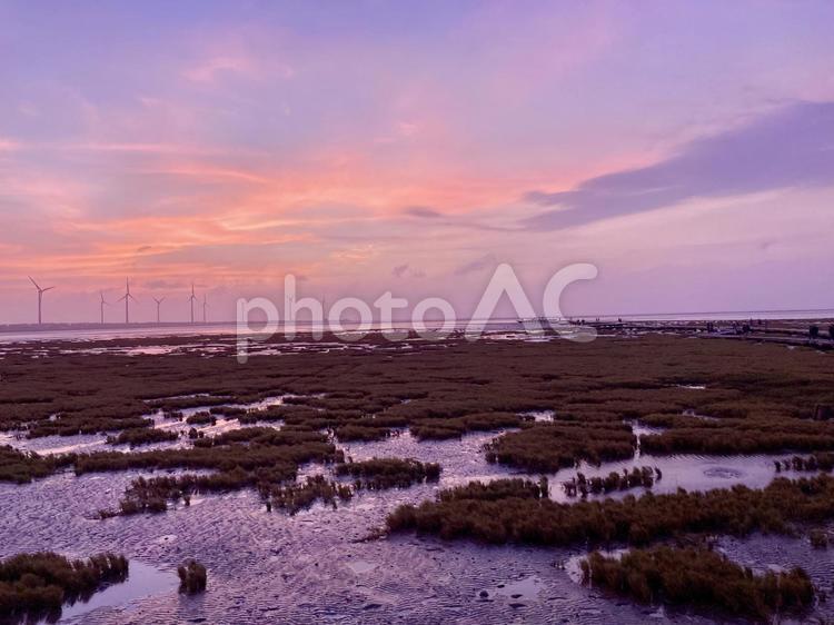 台湾（台中）高美湿地 台湾,高美湿地,台中の写真素材