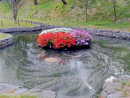 渦巻く水と色鮮やかな花壇 風景 自然 渦巻く水と色鮮やかな花壇 風景 自然 花壇,花,水の写真素材