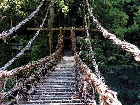 吊り橋 吊り橋の写真