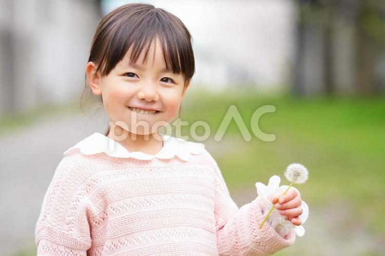 タンポポの綿毛を持って立つ女の子 女の子,小学生,子どもの写真素材