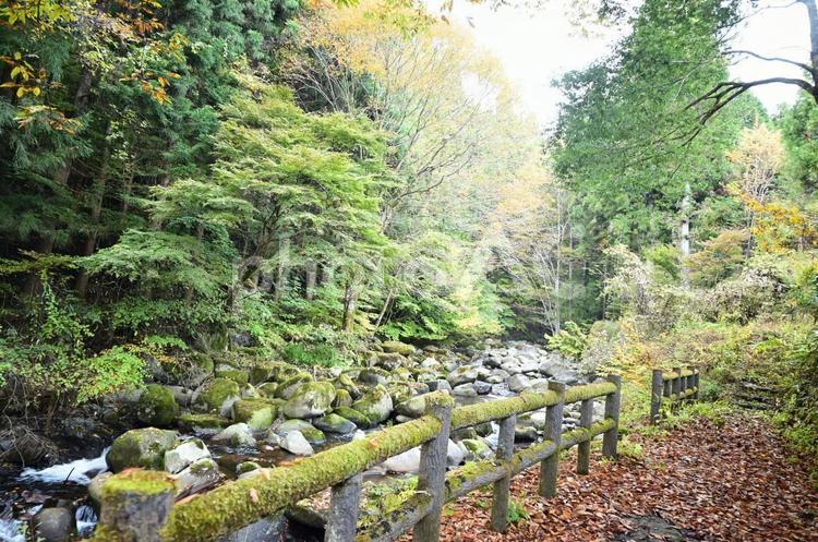 栃木県鹿沼市にて、風景 自然,風景,空の写真素材